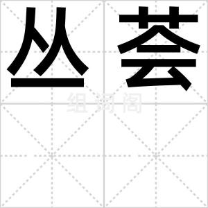 丛荟