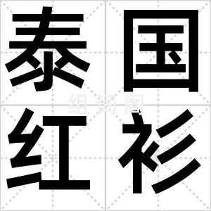 泰国红衫军