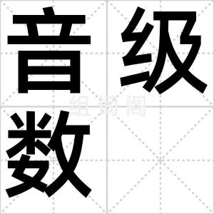 音级数