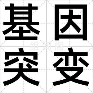 基因突变