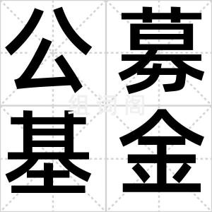 公募基金会