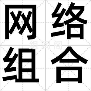 网络组合字