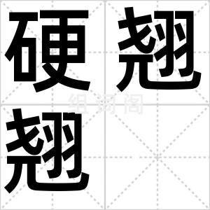 硬翘翘