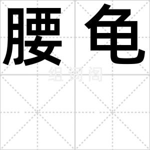 腰龟