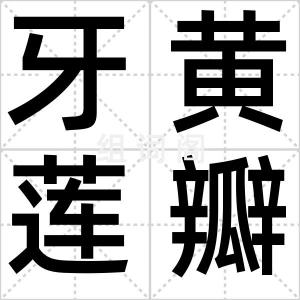 牙黄莲瓣素