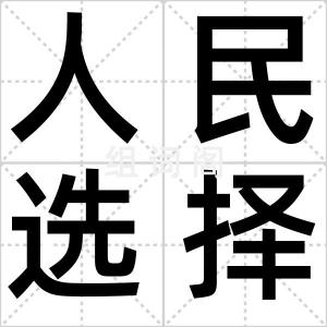 人民选择奖