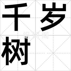 千岁树