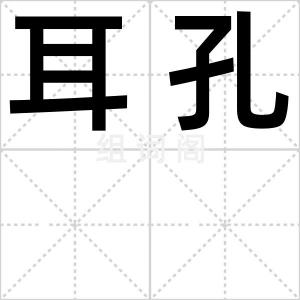 耳孔