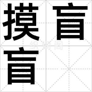 摸盲盲