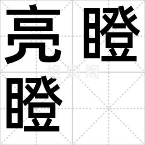 亮瞪瞪