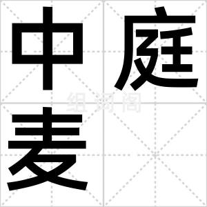 中庭麦