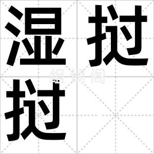 湿挝挝