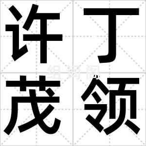 许丁茂领带