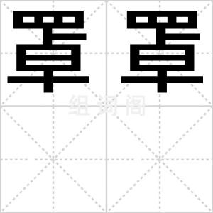 罩罩