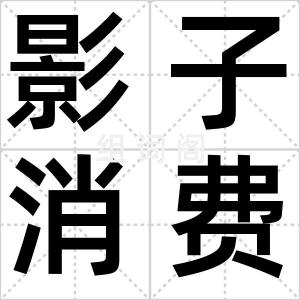 影子消费者