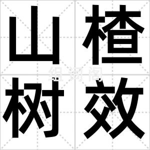 山楂树效应