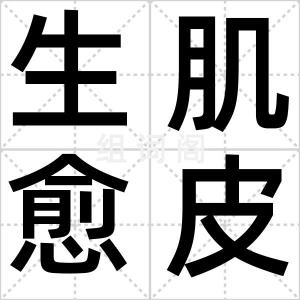 生肌愈皮膏