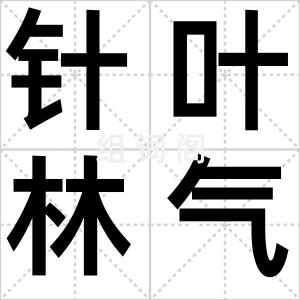 针叶林气候