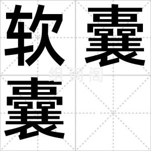 软囊囊