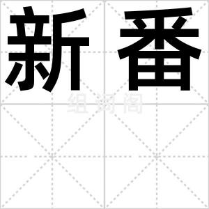 新番