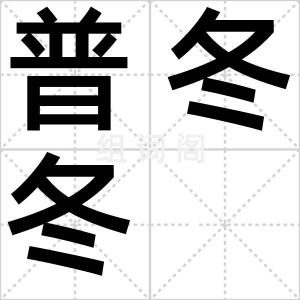 普冬冬