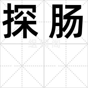 探肠