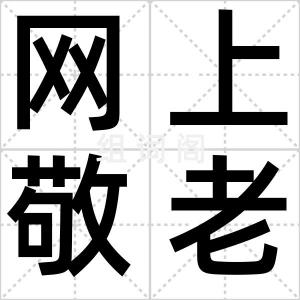 网上敬老院