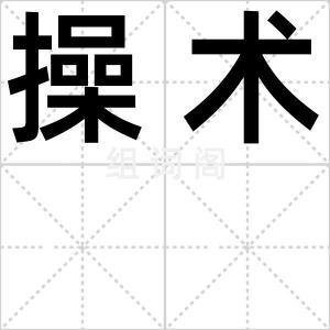 操术