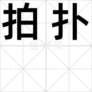 拍扑