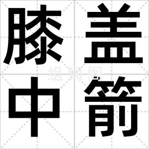 膝盖中箭体