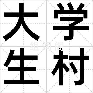 大学生村官