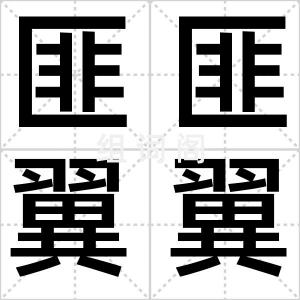 匪匪翼翼