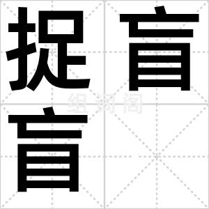 捉盲盲