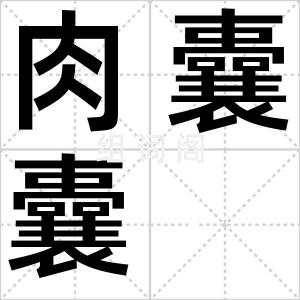 肉囊囊
