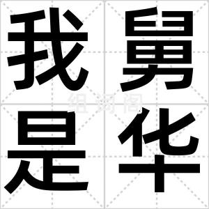 我舅是华仔
