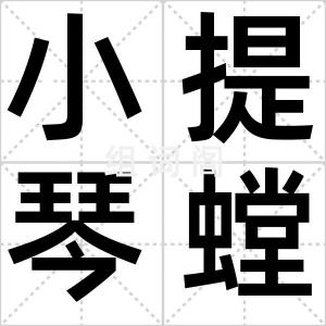 小提琴螳螂
