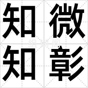 知微知彰