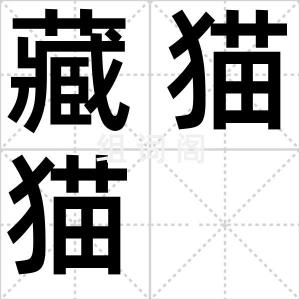 藏猫猫