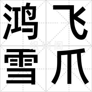 鸿飞雪爪