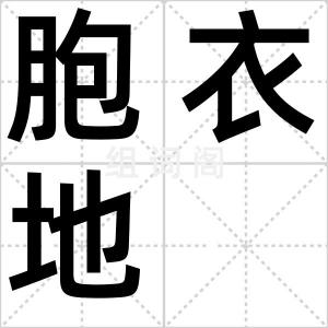 胞衣地