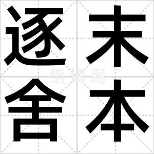 逐末舍本