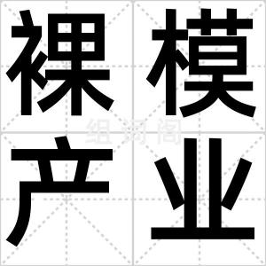 裸模产业链