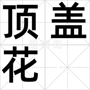 顶盖花