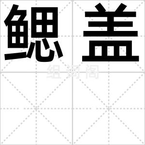 鳃盖