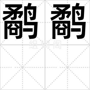 鹬鹬