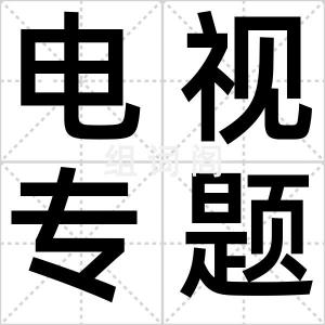 电视专题片