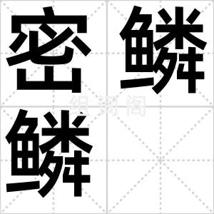 密鳞鳞