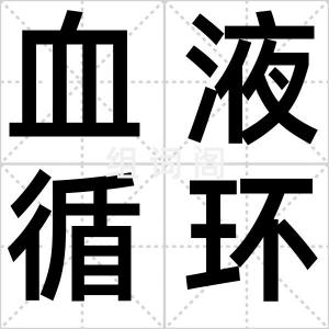 血液循环