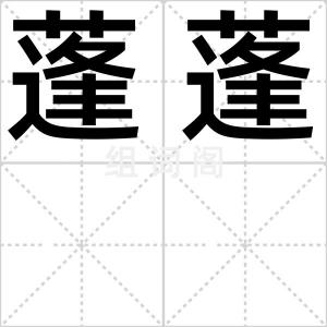 蓬蓬