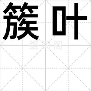 簇叶